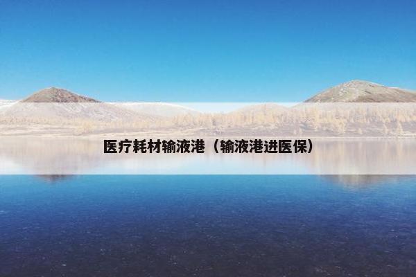 医疗耗材输液港（输液港进医保）