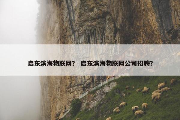 启东滨海物联网？ 启东滨海物联网公司招聘？