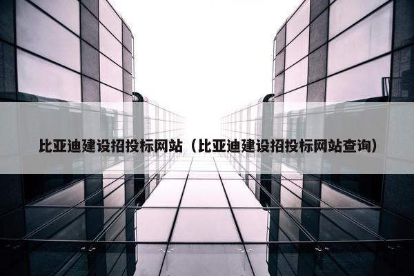 比亚迪建设招投标网站（比亚迪建设招投标网站查询）