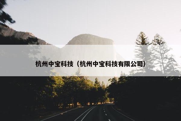 杭州中宝科技（杭州中宝科技有限公司）