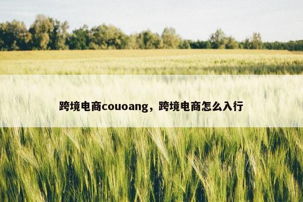 跨境电商couoang，跨境电商怎么入行