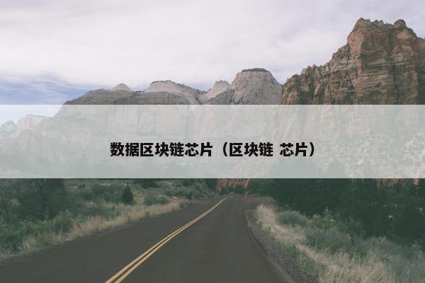 数据区块链芯片(区块链 芯片) 数据区块链芯片(区块链 芯片)