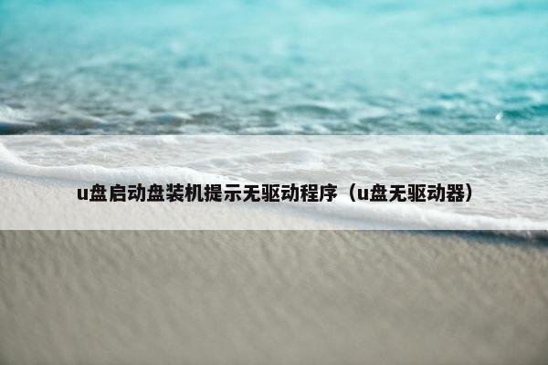 u盘启动盘装机提示无驱动程序（u盘无驱动器）