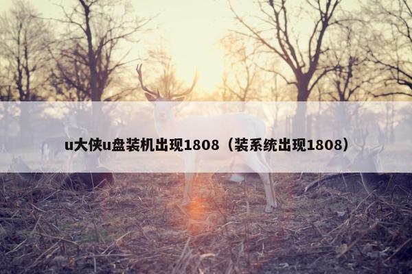 u大侠u盘装机出现1808（装系统出现1808）
