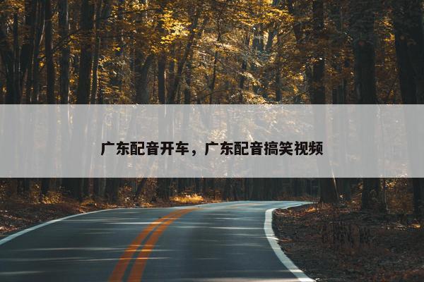 广东配音开车，广东配音搞笑视频