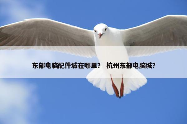 东部电脑配件城在哪里？ 杭州东部电脑城？