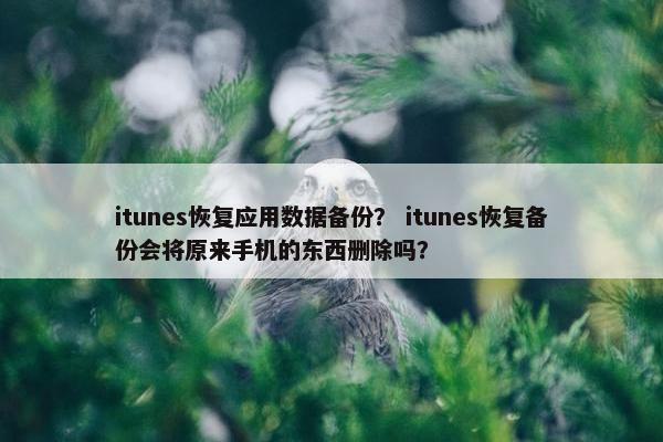 itunes恢复应用数据备份？ itunes恢复备份会将原来手机的东西删除吗？