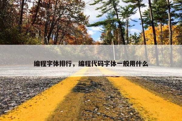 编程字体排行，编程代码字体一般用什么