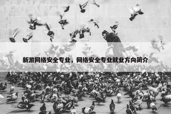 新游网络安全专业，网络安全专业就业方向简介