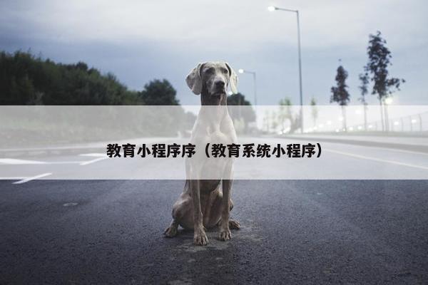 教育小程序序（教育系统小程序）