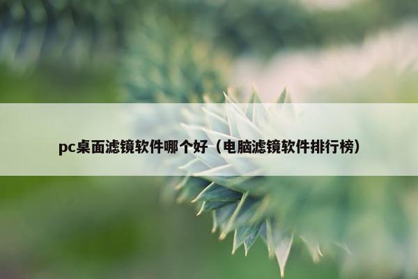 pc桌面滤镜软件哪个好（电脑滤镜软件排行榜）