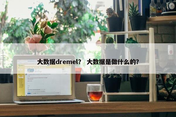 大数据dremel？ 大数据是做什么的？