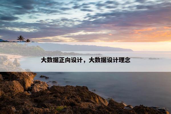 大数据正向设计，大数据设计理念