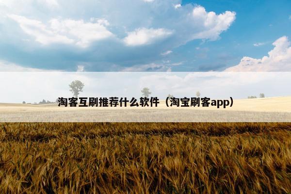 淘客互刷推荐什么软件（淘宝刷客app）