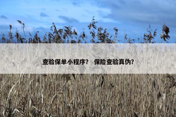 查验保单小程序？ 保险查验真伪？