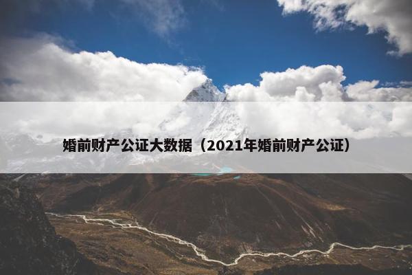 婚前财产公证大数据（2021年婚前财产公证）