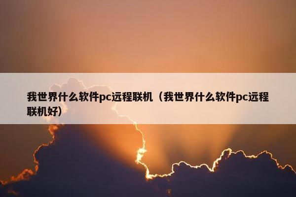 我世界什么软件pc远程联机（我世界什么软件pc远程联机好）