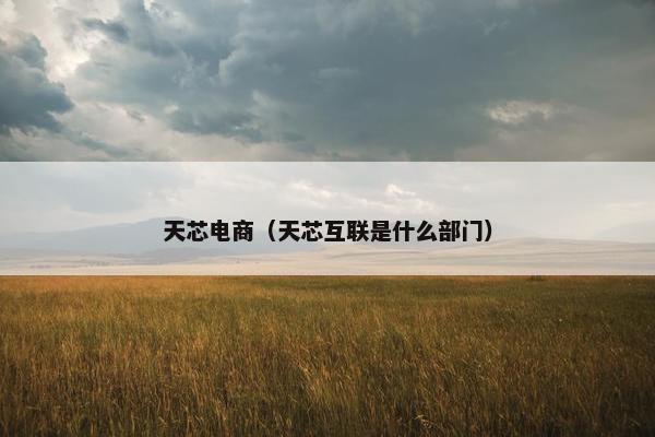 天芯电商（天芯互联是什么部门）