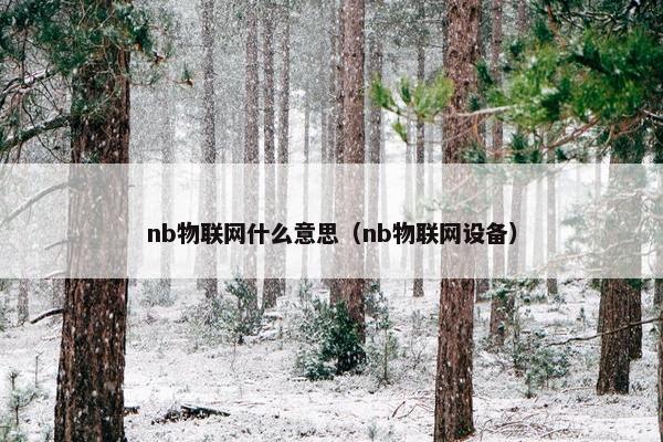 nb物联网什么意思（nb物联网设备）