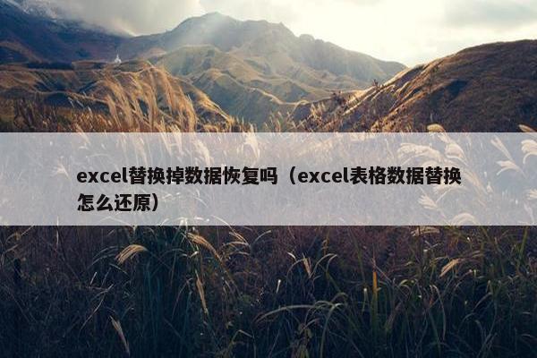 excel替换掉数据恢复吗（excel表格数据替换怎么还原）