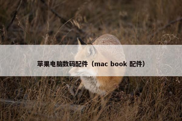 苹果电脑数码配件（mac book 配件）