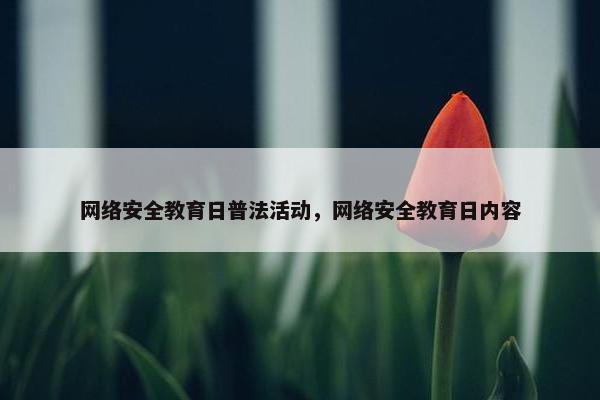 网络安全教育日普法活动，网络安全教育日内容