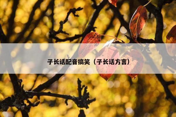 子长话配音搞笑（子长话方言）