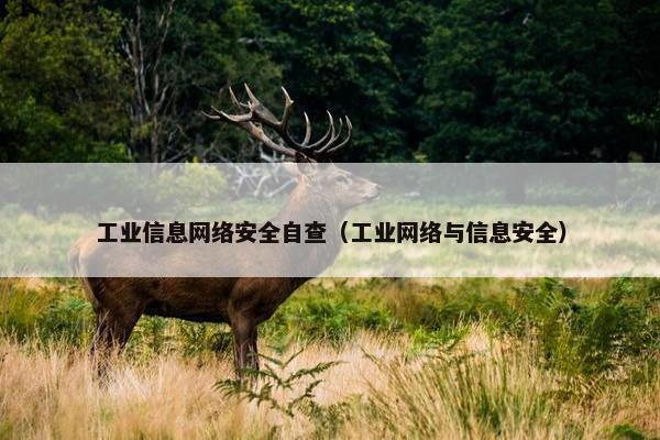 工业信息网络安全自查（工业网络与信息安全）
