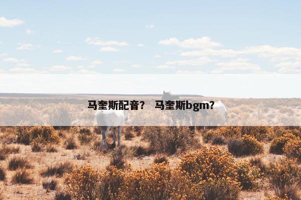 马奎斯配音？ 马奎斯bgm？