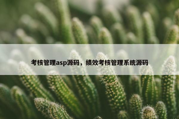 考核管理asp源码，绩效考核管理系统源码