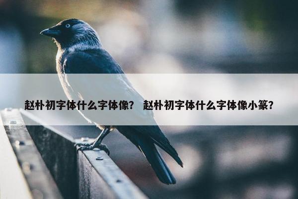 赵朴初字体什么字体像？ 赵朴初字体什么字体像小篆？