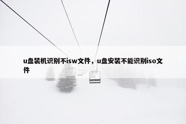 u盘装机识别不isw文件，u盘安装不能识别iso文件