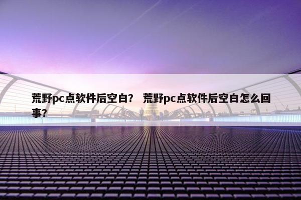 荒野pc点软件后空白？ 荒野pc点软件后空白怎么回事？
