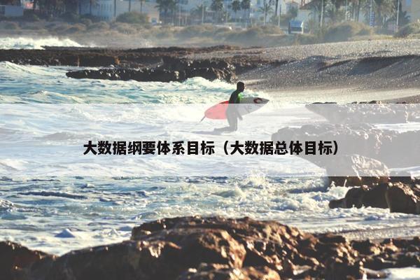 大数据纲要体系目标（大数据总体目标）