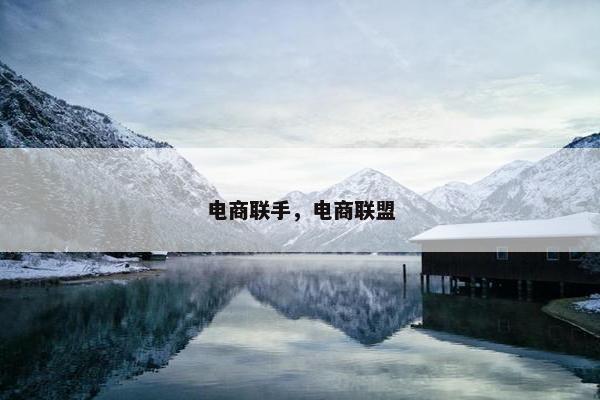 电商联手，电商联盟