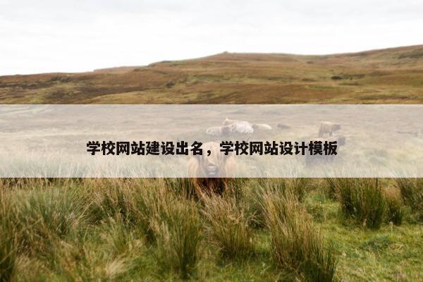 学校网站建设出名，学校网站设计模板