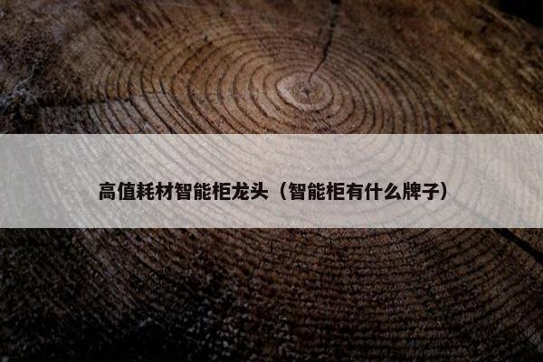 高值耗材智能柜龙头（智能柜有什么牌子）