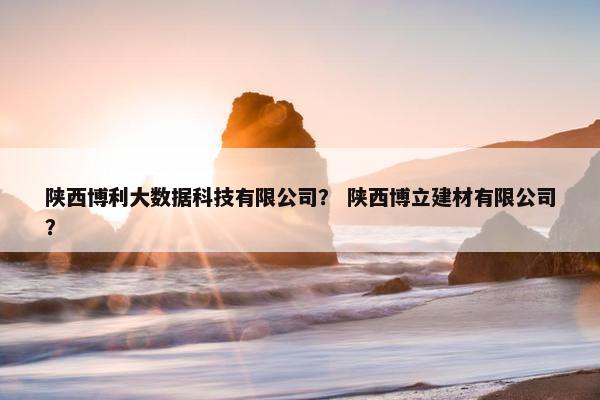 陕西博利大数据科技有限公司？ 陕西博立建材有限公司？