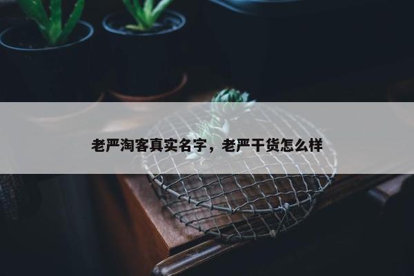 老严淘客真实名字，老严干货怎么样