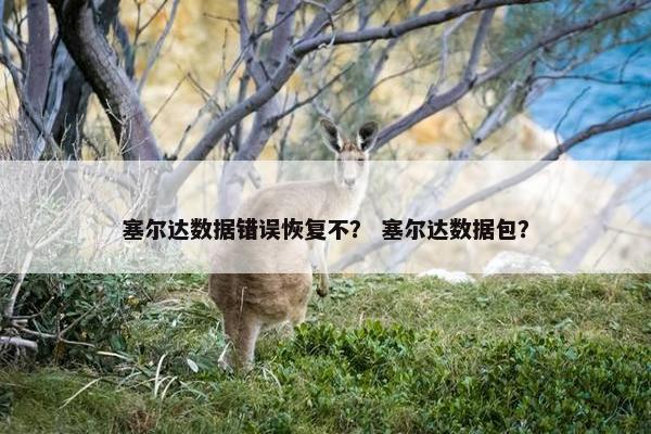 塞尔达数据错误恢复不？ 塞尔达数据包？