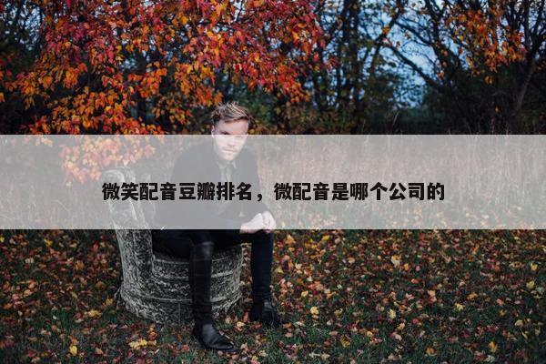 微笑配音豆瓣排名，微配音是哪个公司的