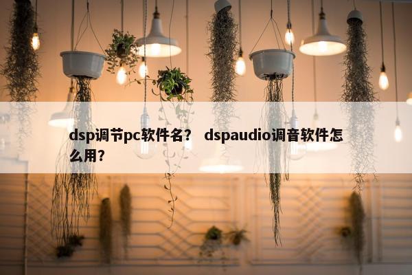 dsp调节pc软件名？ dspaudio调音软件怎么用？