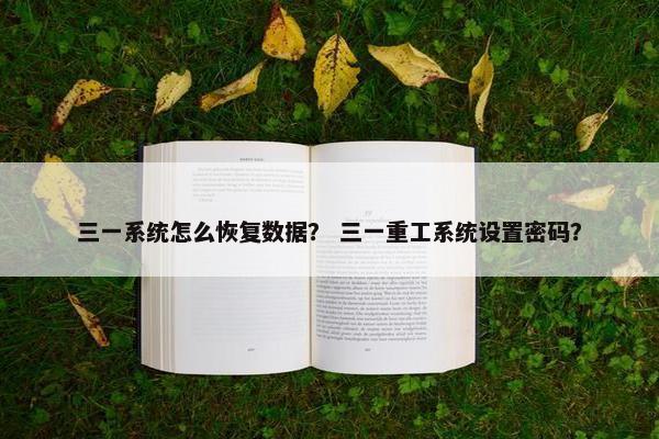 三一系统怎么恢复数据？ 三一重工系统设置密码？