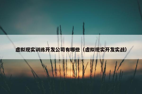 虚拟现实训练开发公司有哪些（虚拟现实开发实战）