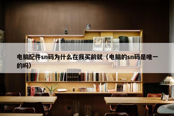电脑配件sn码为什么在我买前就（电脑的sn码是唯一的吗）