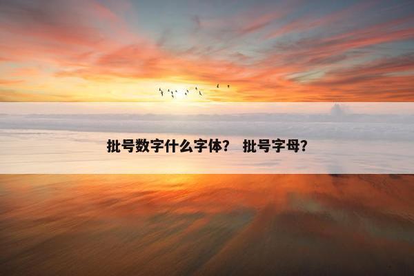 批号数字什么字体？ 批号字母？