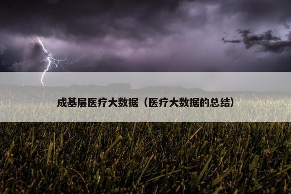 成基层医疗大数据（医疗大数据的总结）