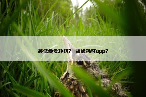 装修最贵耗材？ 装修耗材app？