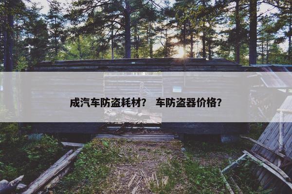 成汽车防盗耗材？ 车防盗器价格？