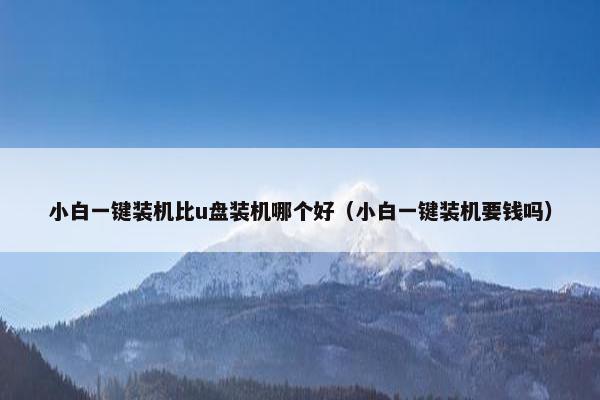 小白一键装机比u盘装机哪个好（小白一键装机要钱吗）
